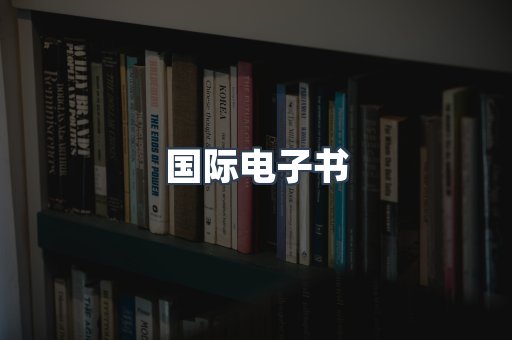 国际电子书